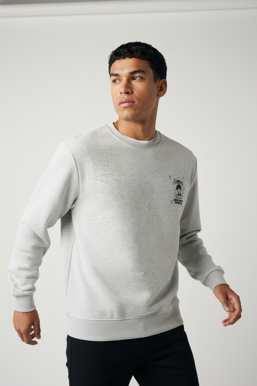 Men's crew neck sweatshirt Gray