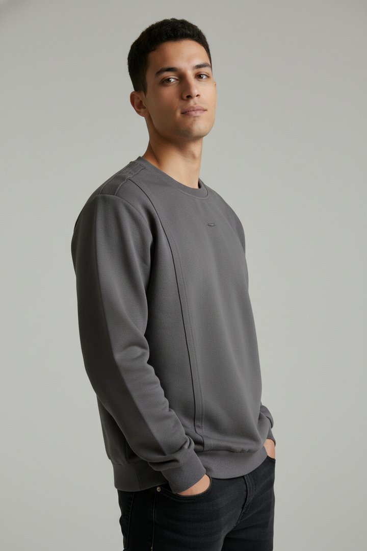 Men's crew neck sweatshirt Gray