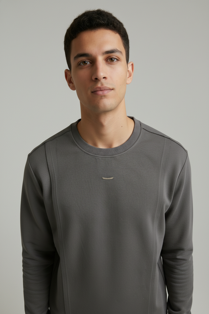 Men's crew neck sweatshirt Gray