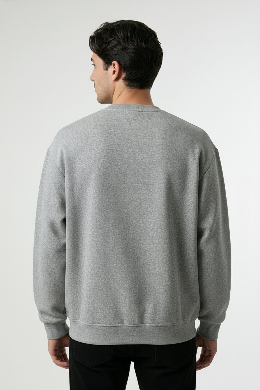 Men's crew neck sweatshirt Gray